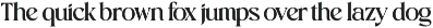Vielotta Elegant Editorial Serif font preview