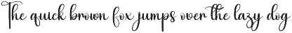 Santa Signature | Script Font preview