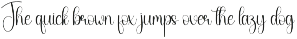 Fishing | Script Font preview