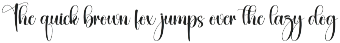 Magnitude | Script Font preview