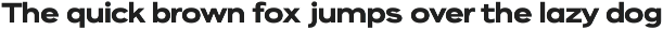 Eleven Eleven Sans Serif preview