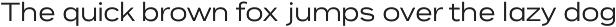 Eleven Eleven Sans Serif preview