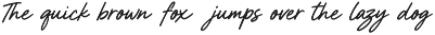 Fallyen Font Duo Signature Sans preview
