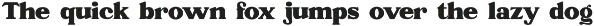 Bandiera - Retro Bold Serif preview