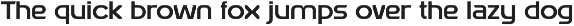 Cronova Family Sans Serif preview