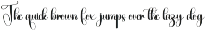 Beauty Calligraphy preview