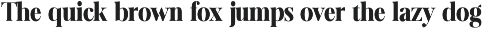 Evarnique preview