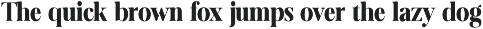 Evarnique preview