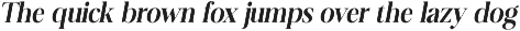 Evarnique preview