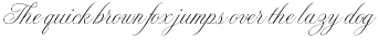Timeless Editorial - Elegant Serif preview