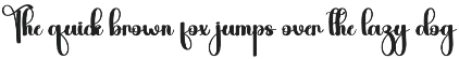 Rainday | Script Font preview