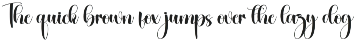 Saturday | Script Font preview