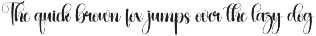 Daughter | Script Font preview