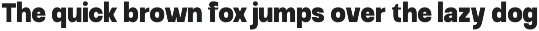 Raftile – Variable Sans Serif Family preview