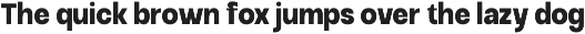 Raftile – Variable Sans Serif Family preview