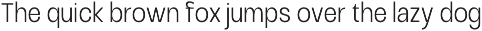 Raftile – Variable Sans Serif Family preview