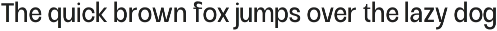 Raftile – Variable Sans Serif Family preview