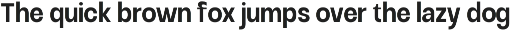 Raftile – Variable Sans Serif Family preview