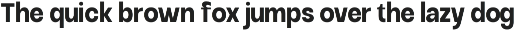 Raftile – Variable Sans Serif Family preview