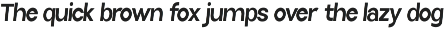 Selfinty Sans - 90 fonts + variable. preview
