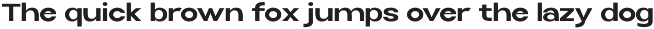 Selfinty Sans - 90 fonts + variable. preview