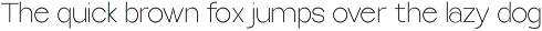 Selfinty Sans - 90 fonts + variable. preview