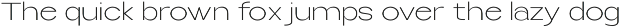 Selfinty Sans - 90 fonts + variable. preview