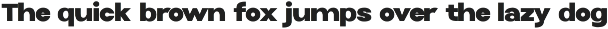 Selfinty Sans - 90 fonts + variable. preview