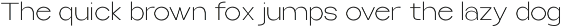 Selfinty Sans - 90 fonts + variable. preview