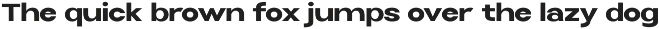 Selfinty Sans - 90 fonts + variable. preview