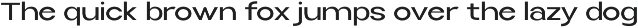 Selfinty Sans - 90 fonts + variable. preview