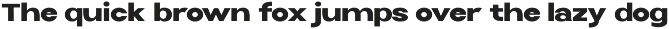 Selfinty Sans - 90 fonts + variable. preview