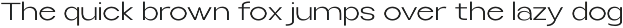 Selfinty Sans - 90 fonts + variable. preview