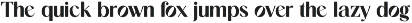 Rokate - Classy Vintage Serif Font preview