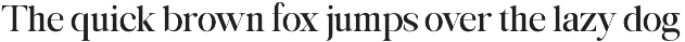 Avilona Super Family | 63 Style Font preview