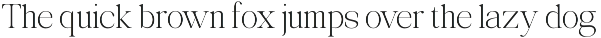 Avilona Super Family | 63 Style Font preview