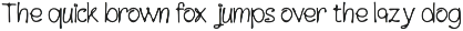 Wimora Playful Handwritten Typeface preview