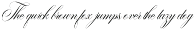 Garncoleia - Romantic Script Family preview