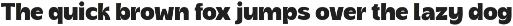 Malika | Warm & Bold Sans Serif Font preview