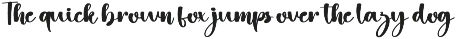 Autoplay preview