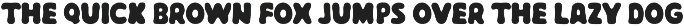 Marola Font | Surf Inspired preview