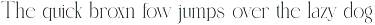 Sandis Elegant Serif Font preview