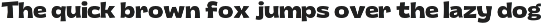 ChunkRiot-Geometric Display Typeface preview