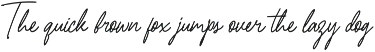 Bartender Signature Handwritten Font preview