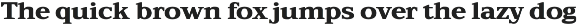 TFC Bachelord - High Contrast Font preview