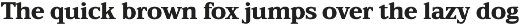 TFC Bachelord - High Contrast Font preview