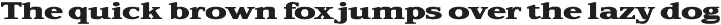 TFC Bachelord - High Contrast Font preview