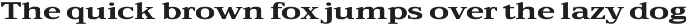 TFC Bachelord - High Contrast Font preview