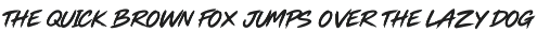 Raves Dynamic Sports Brush Font preview