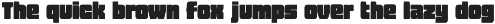 Rexonal — Bold Type. Presence. preview